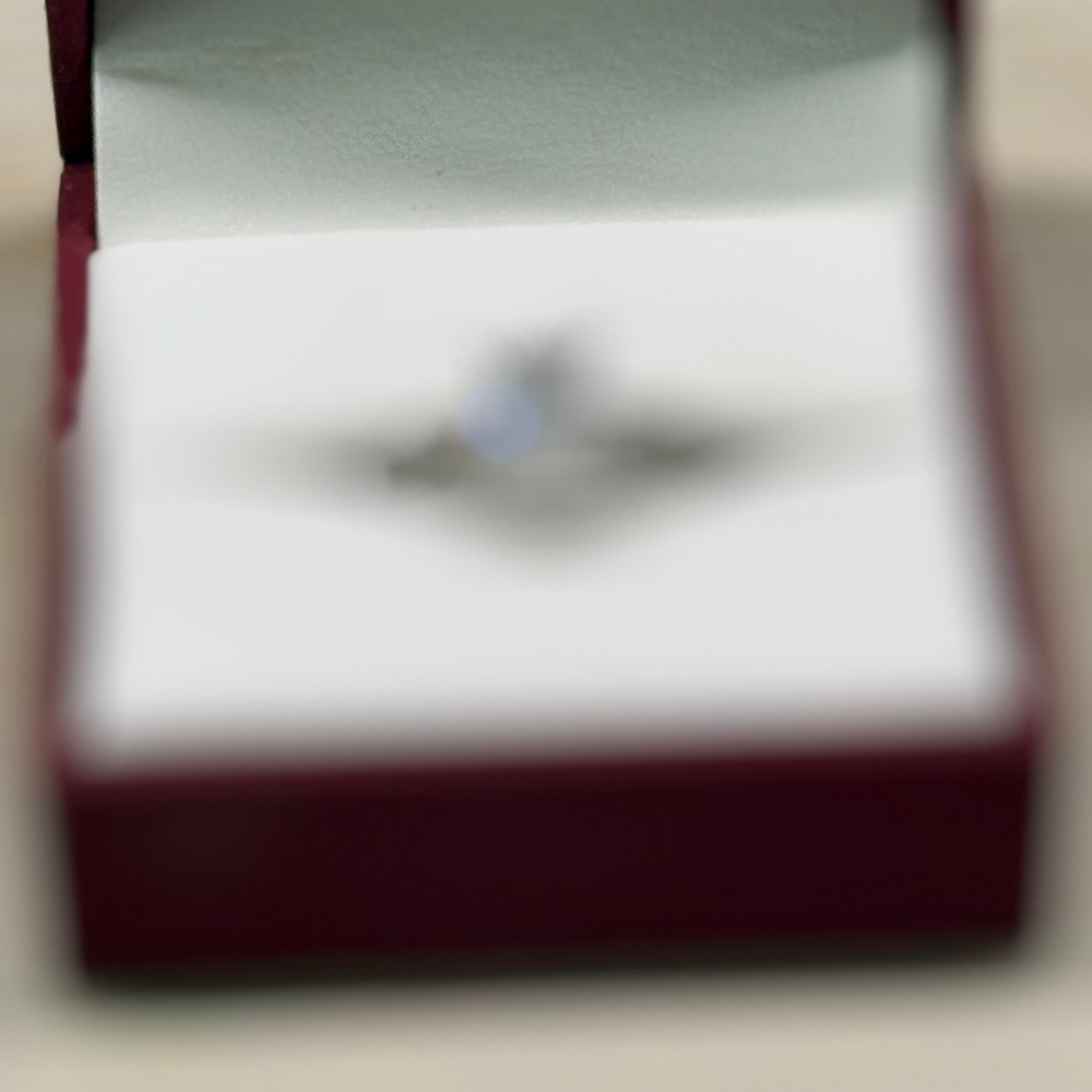 The Forever - Picture 5 of 5
